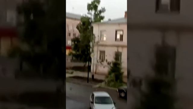 На центральной улице Москвы ветром снесло дерево