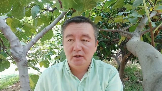 Получение банковской карты в Мерсине, Турция