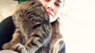 Приколы с кошками котами Кошка соскучилась , лащится, мурчит
