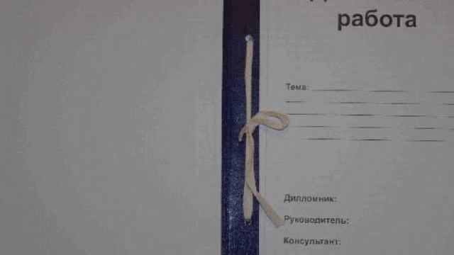заказать дипломную работу по юриспруденции