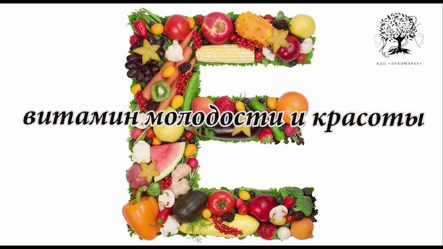 «КОНСТРУКТОР ЗДОРОВОГО ОБРАЗА ЖИЗНИ»