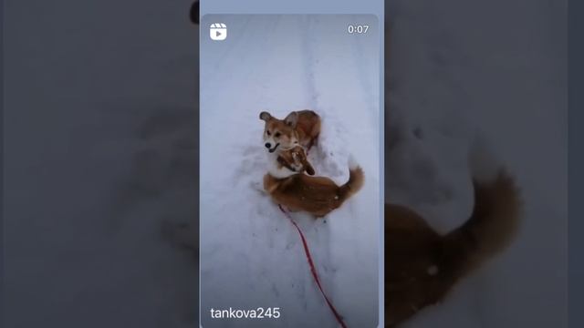Глаша&Маруся
