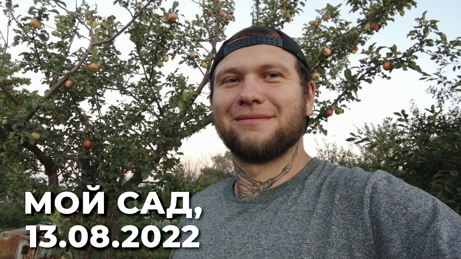 Мой сад, 13 августа 2022