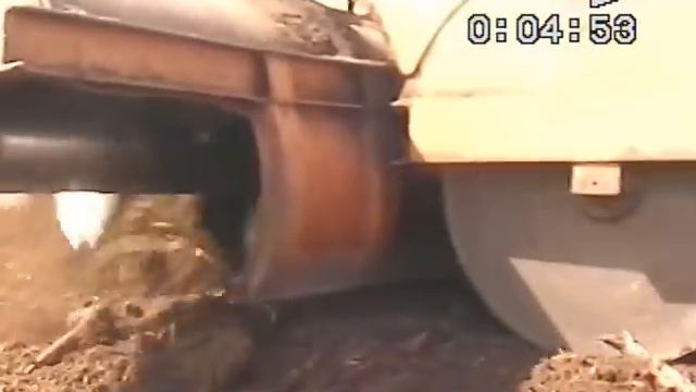 работа на болоте пельгорское