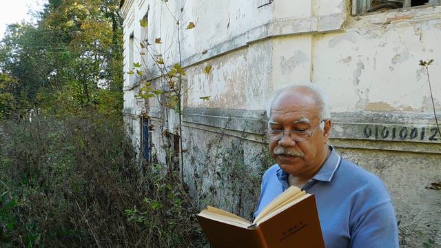 А. Фет. "Я тебе ничего не скажу..."