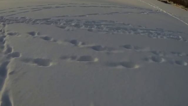 Рыбалка в волжском затоне за мочальным островом.