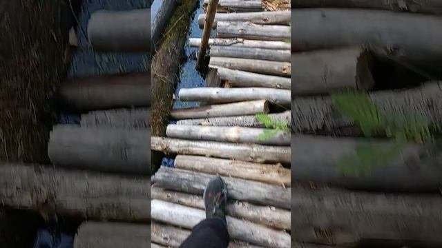 база старшего брата моего друга?