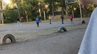 третий раз на те же грабли