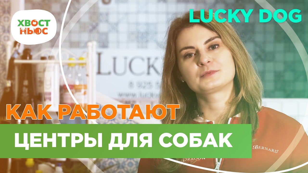 Зооцентр Lucky Dog