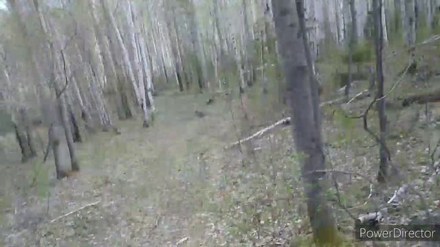Вокруг северского пруда. Полевской.