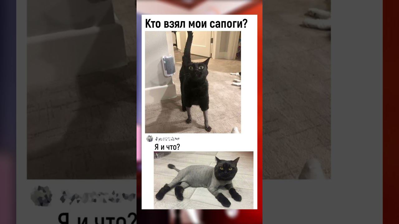Хороших выходных☺. Доброе утречко. Добра и позитива. #позитив #поззи #мемы #юмор #доброеутро