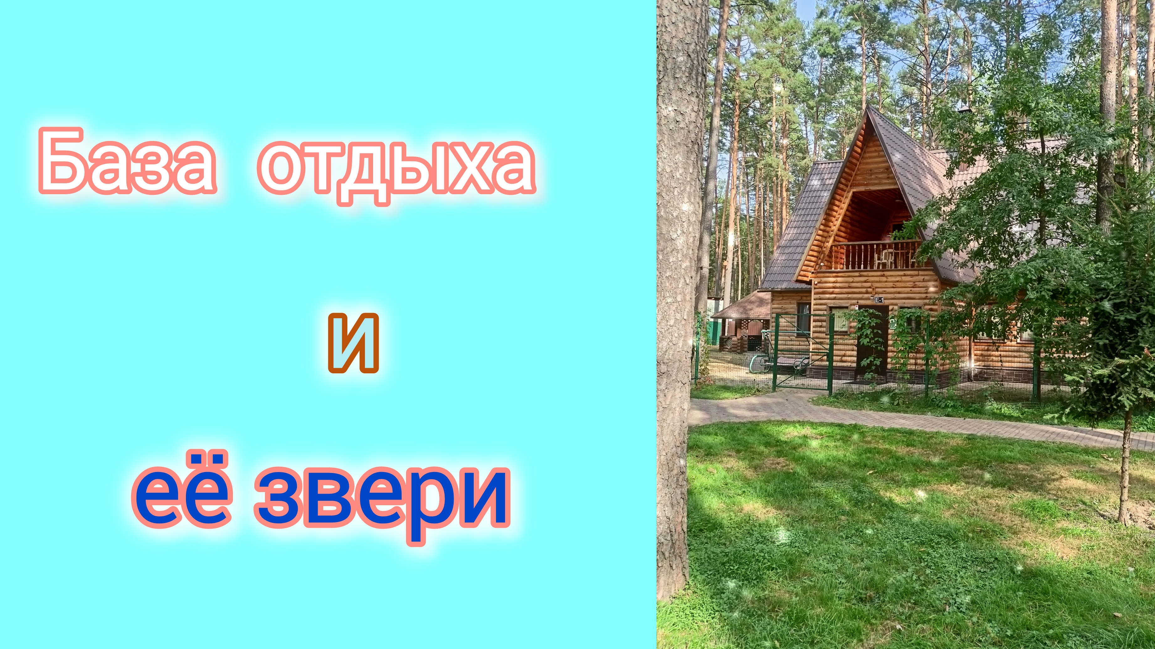 Турбаза и её животные