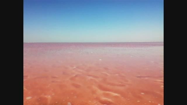 Розовое озеро Сасык-Сиваш, Крым
