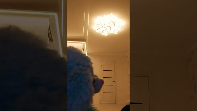 дядя сережа