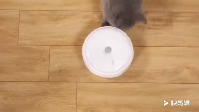 Электрическая игрушка для кошек с Алиэкспресс