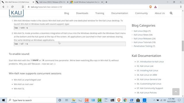 Kali Linux Windows App (WSL 2 with sound)