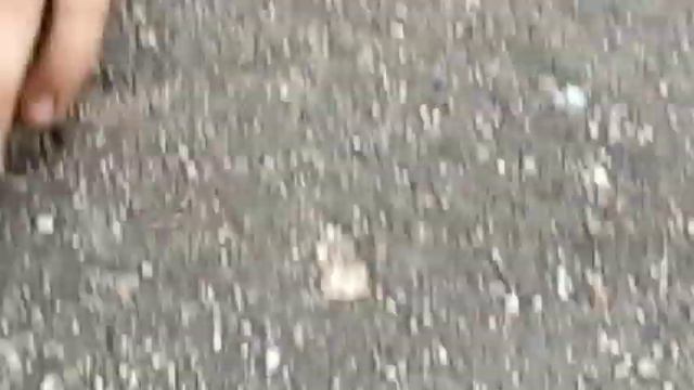 Как я катаюсь+моё лицо+нашли огромного паука 2 серии + ломаем пистолет шок!!😱