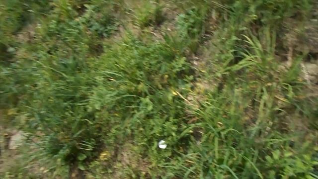 CRASH TEST 4 | Po dluhé době zase něco ničím | SAMSUNG GALAXY J3 | cz makety