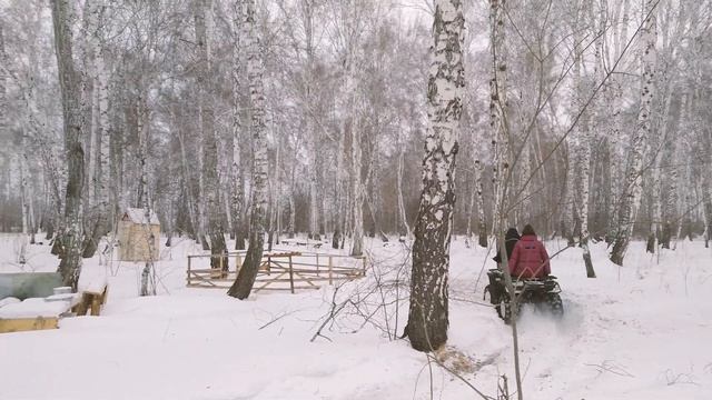 Fun farm trip(Travel video) поездка на "Веселую ферму" г. Омск