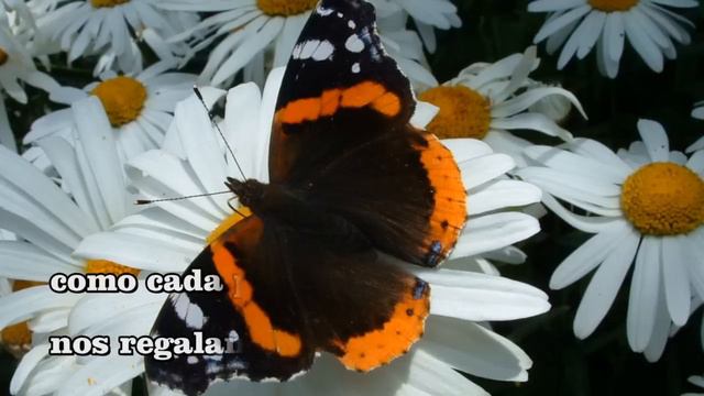 LA PRIMAVERA ES POESÍA