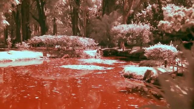 INFRARED FILTER CANON 7D ALLSTEADY 6 3AXIS GIMBAL