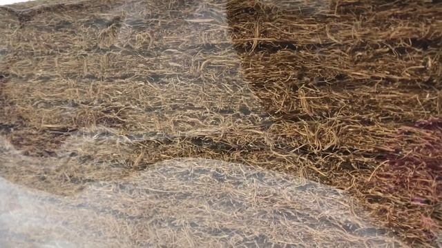 Отзыв о матрасе Agreen Mono Zurich и магазине "Анатомия сна"