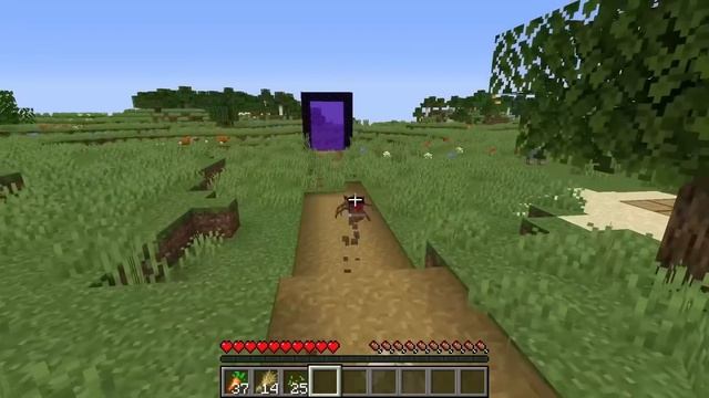 Minecraft Mobs Became Mutant Battle ! Zombe Creeper Enderman Skeleton MONSTER SCHOOL my craft