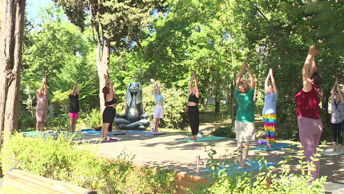 В Сочи проходят бесплатные тренировки по йоге