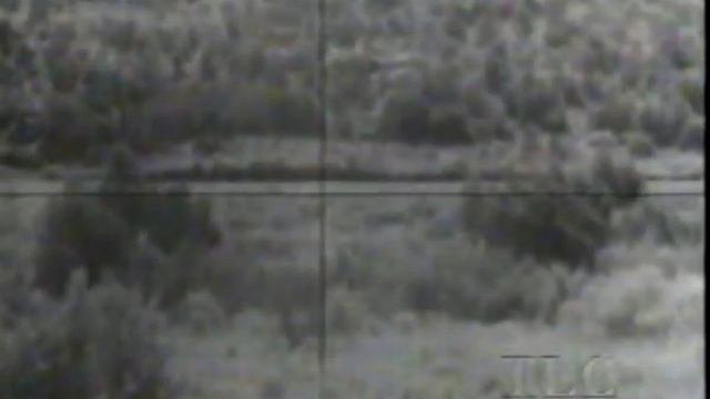 Fire Ant EFP Tank Killer