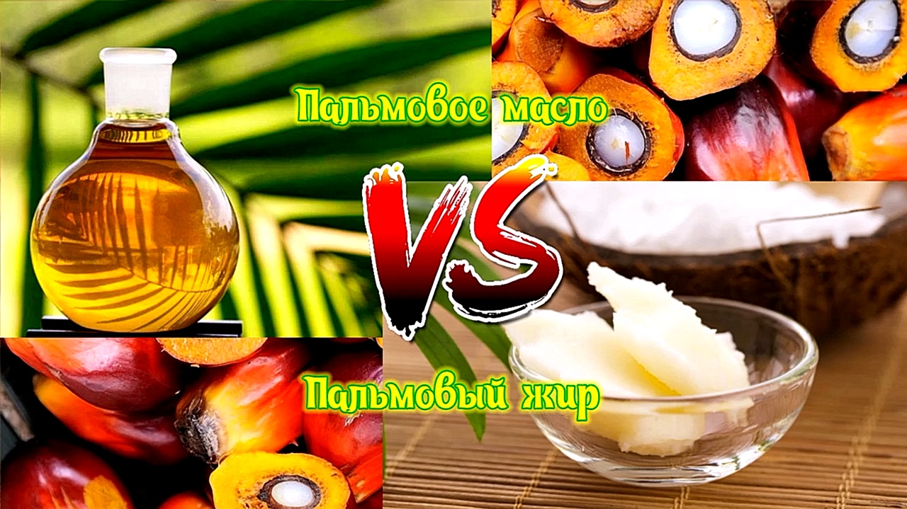 Пальмовое масло VS Пальмовый жир.