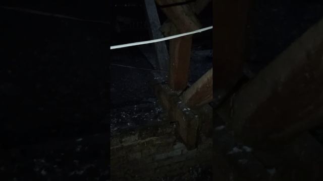 Бездействие ЖЭКа Киев, улица Толбухина, 3