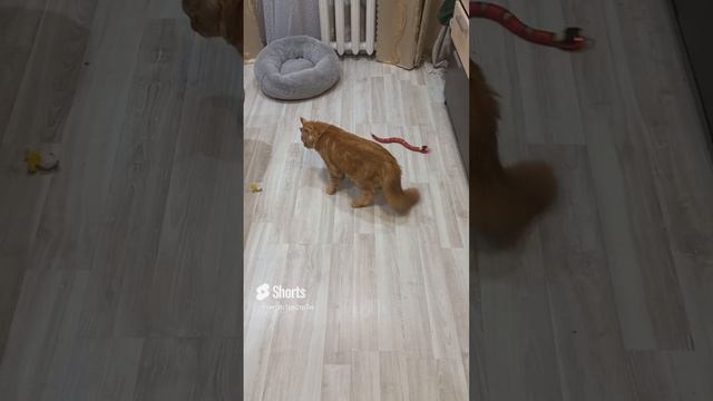 Я,охотник