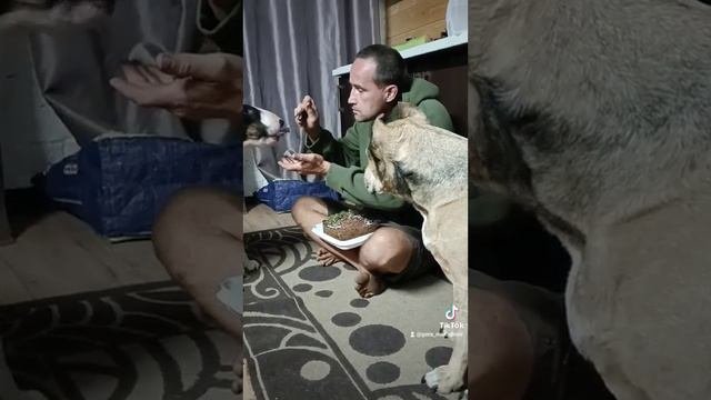 5 сентября 2023 г.