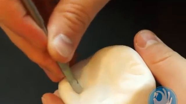 МОДЕЛИРОВАНИЕ ИЗ ПЛАСТИКИ КОРОНКОВОЙ ЧАСТИ 2.6 ЗУБА