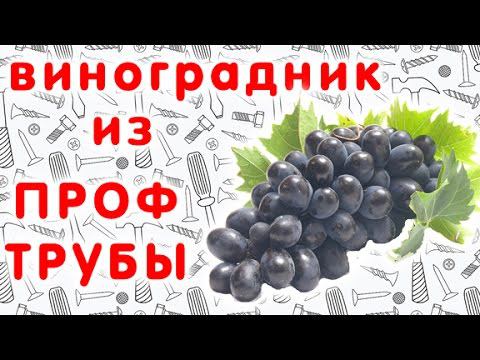 Двухплоскостная шпалера для винограда своими руками. Виноградник из металлических труб.