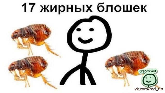 Охапку дров, АЛКАШ ГОТОВ.