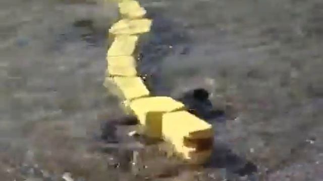 Робот-саламандра