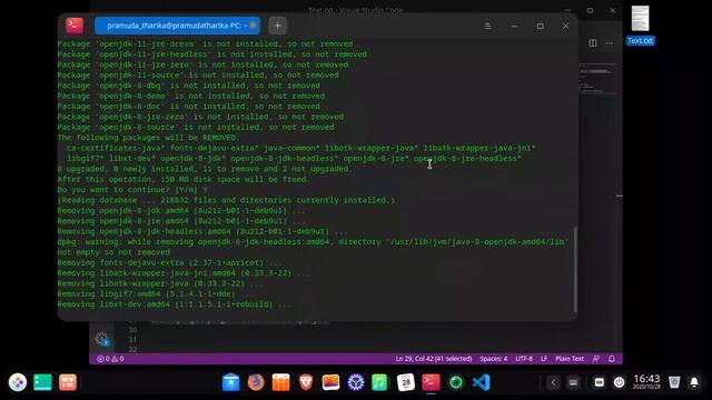 How to uninstall JDK in Linux