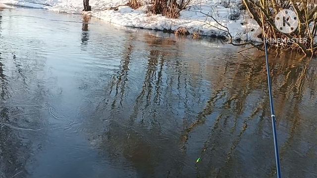 Ловля крупной плотвы и язя, собак оставил дома. Весенняя рыбалка на малой реке