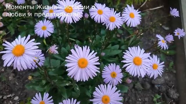 ❤️ Бабушка еще та шалунья...Внук аж побледнел от услышанного ...
