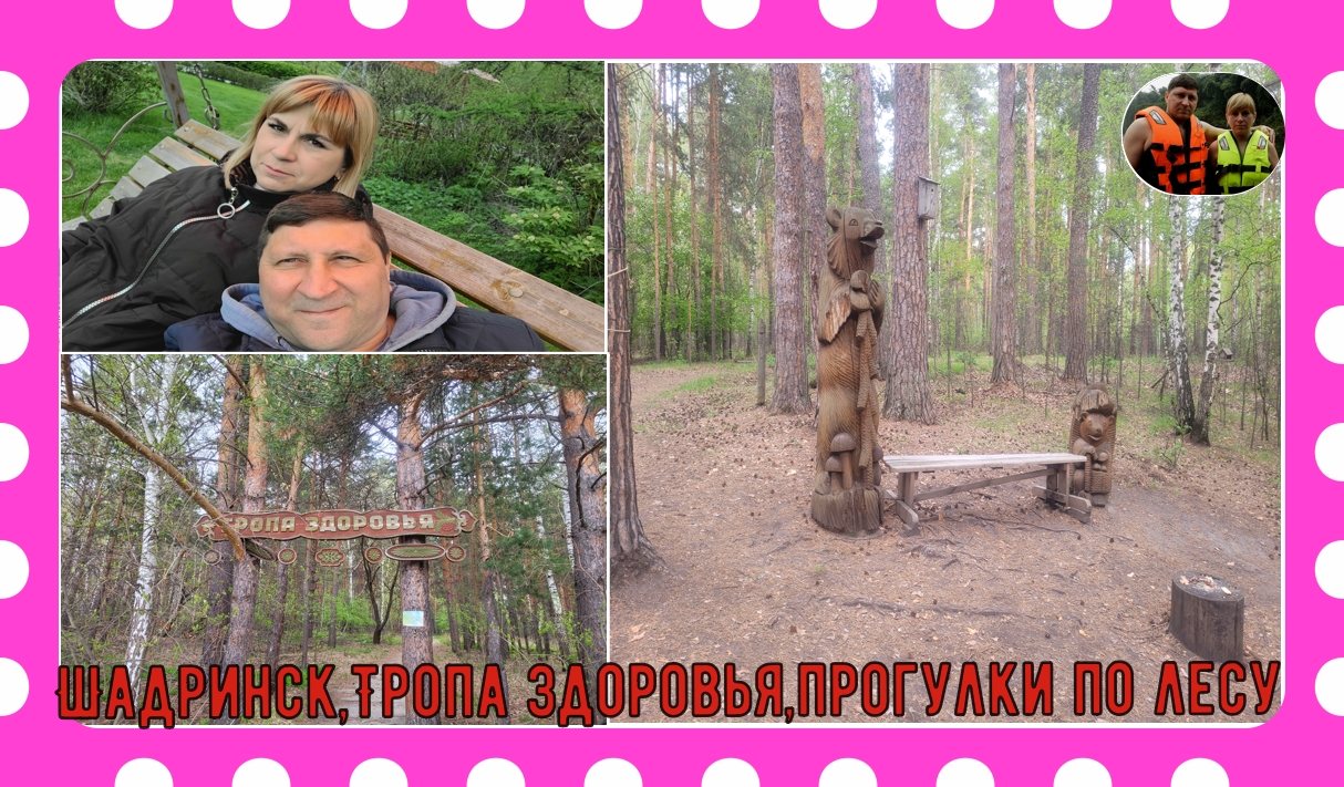 Шадринск,тропа здоровья и прогулки по лесу#shorts #россия#шадринск