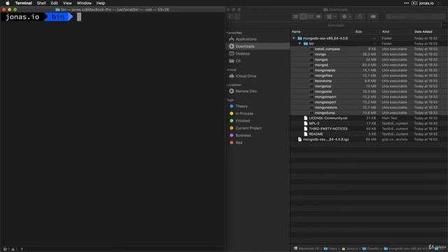 071 Installing MongoDB On MacOS
