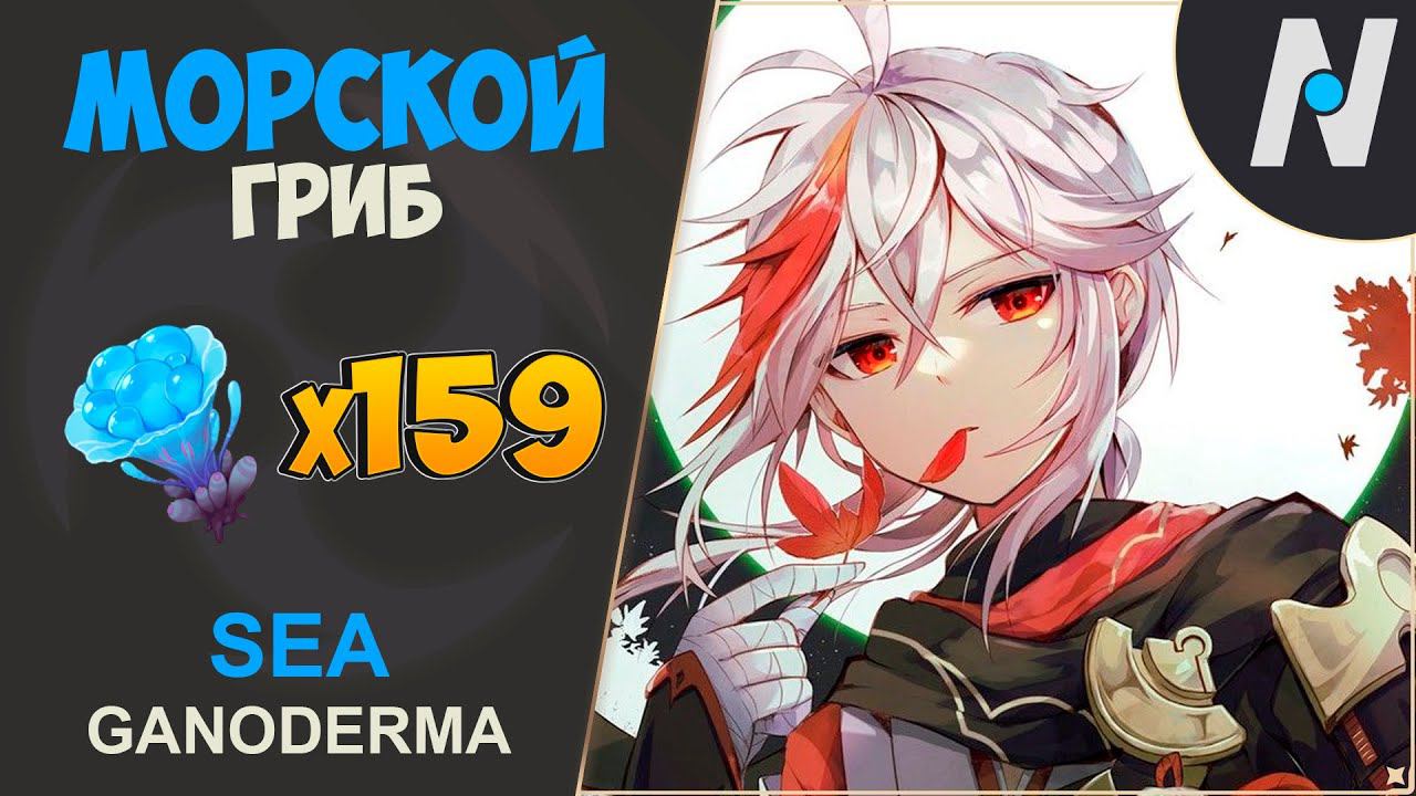 МОРСКОЙ ГРИБ - Сбор всех. ЛУЧШИЙ Маршрут | GENSHIN IMPACT