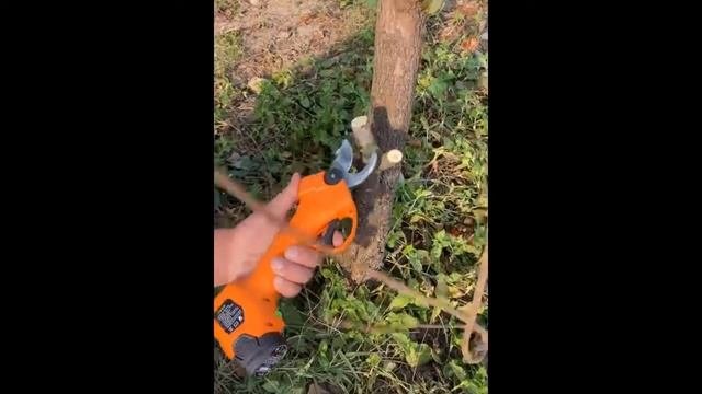 Секатор электрический на аккумуляторах