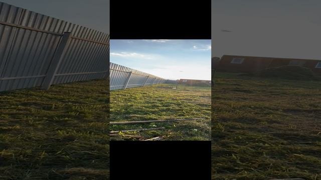 #shortsеда казан
