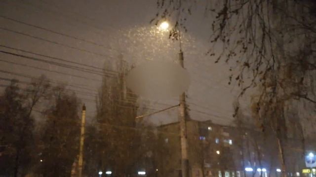 Копия видео "Воронеж. В городском саду падал снег"