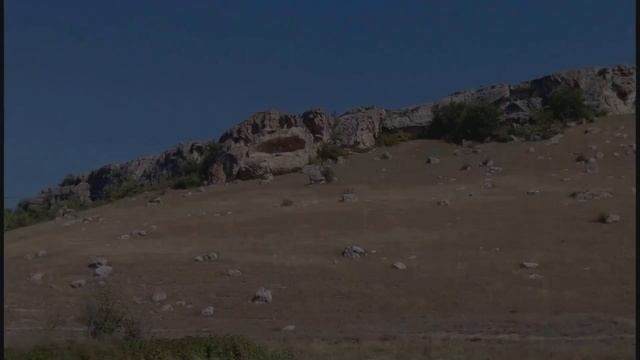 Грабли веерные Для любителей канала Грабли Лайф 23 11 21