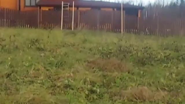 Сравнение ширины поля разных прицелов.