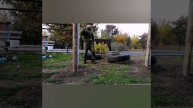 Тренировка с покрышкой разные варианты Training with a tire different options