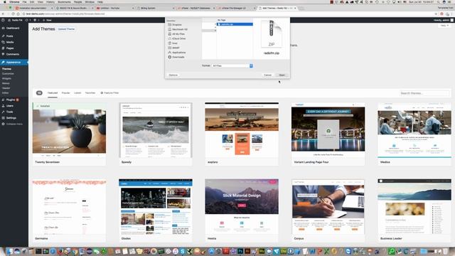 How to activate Radio FM theme in WordPress